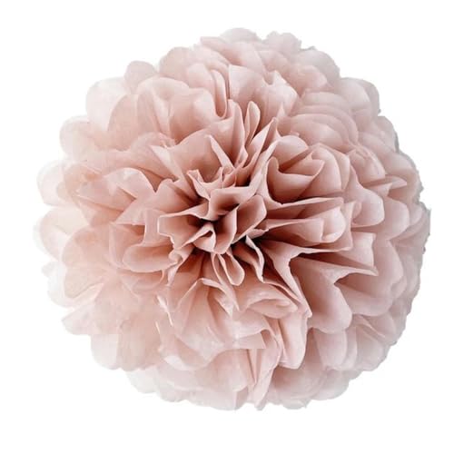 China Festival Dekorative Laterne 5 Pcs Seidenpapier Pompons Blume Girlande Hochzeit Dekoration DIY Papier Blumen Ball Geburtstag Party Dekoration(Dusty pink,10 inches 25cm) von MEYINGOU