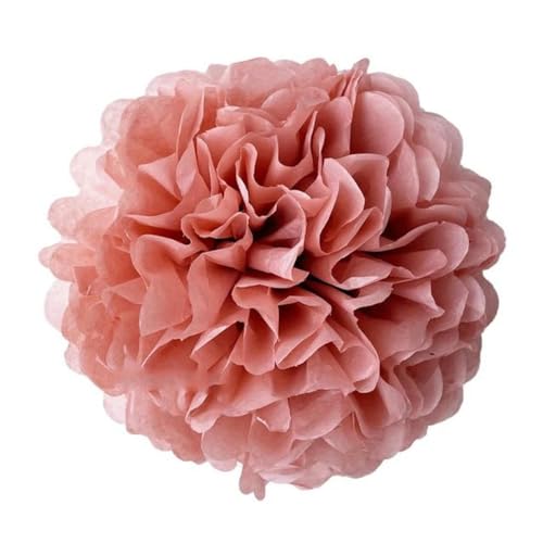 China Festival Dekorative Laterne 5 Pcs Seidenpapier Pompons Blume Girlande Hochzeit Dekoration DIY Papier Blumen Ball Geburtstag Party Dekoration(Dusty roes,10 inches 25cm) von MEYINGOU