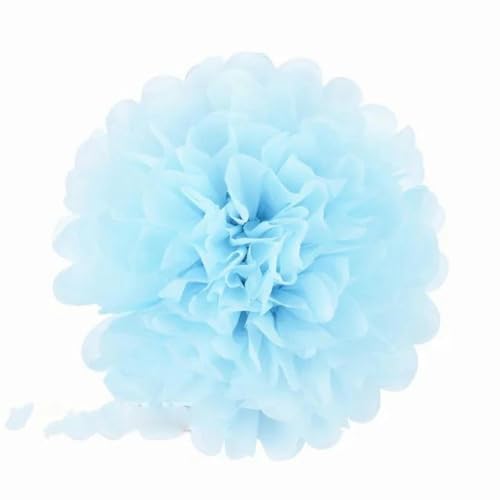 China Festival Dekorative Laterne 5 Pcs Seidenpapier Pompons Blume Girlande Hochzeit Dekoration DIY Papier Blumen Ball Geburtstag Party Dekoration(Light blue,10 inches 25cm) von MEYINGOU