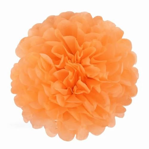 China Festival Dekorative Laterne 5 Pcs Seidenpapier Pompons Blume Girlande Hochzeit Dekoration DIY Papier Blumen Ball Geburtstag Party Dekoration(Light orange,10 inches 25cm) von MEYINGOU