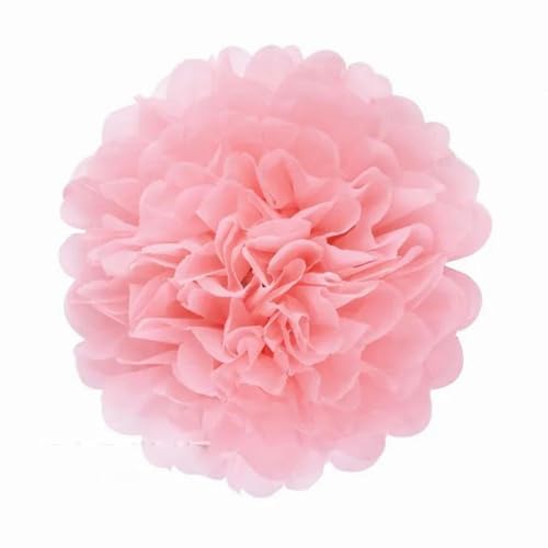 China Festival Dekorative Laterne 5 Pcs Seidenpapier Pompons Blume Girlande Hochzeit Dekoration DIY Papier Blumen Ball Geburtstag Party Dekoration(Light pink,10 inches 25cm) von MEYINGOU