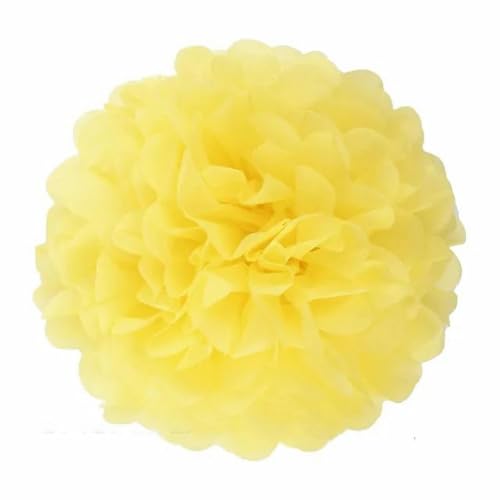 China Festival Dekorative Laterne 5 Pcs Seidenpapier Pompons Blume Girlande Hochzeit Dekoration DIY Papier Blumen Ball Geburtstag Party Dekoration(Light yellow,10 inches 25cm) von MEYINGOU