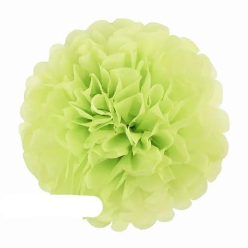 China Festival Dekorative Laterne 5 Pcs Seidenpapier Pompons Blume Girlande Hochzeit Dekoration DIY Papier Blumen Ball Geburtstag Party Dekoration(Lime,10 inches 25cm) von MEYINGOU