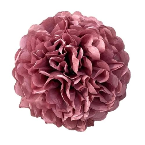 China Festival Dekorative Laterne 5 Pcs Seidenpapier Pompons Blume Girlande Hochzeit Dekoration DIY Papier Blumen Ball Geburtstag Party Dekoration(Mauve,10 inches 25cm) von MEYINGOU