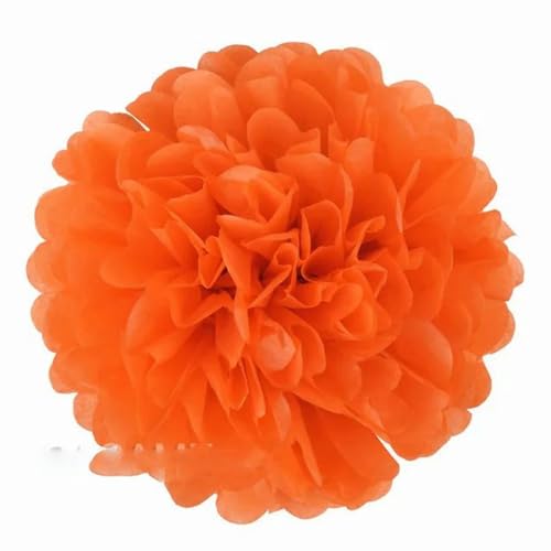 China Festival Dekorative Laterne 5 Pcs Seidenpapier Pompons Blume Girlande Hochzeit Dekoration DIY Papier Blumen Ball Geburtstag Party Dekoration(Orange,10 inches 25cm) von MEYINGOU