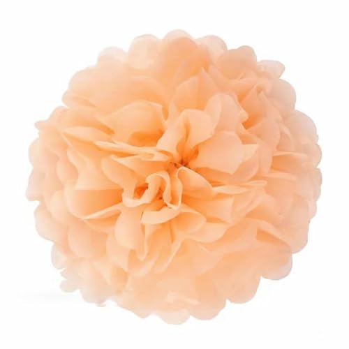 China Festival Dekorative Laterne 5 Pcs Seidenpapier Pompons Blume Girlande Hochzeit Dekoration DIY Papier Blumen Ball Geburtstag Party Dekoration(Peach orange,10 inches 25cm) von MEYINGOU