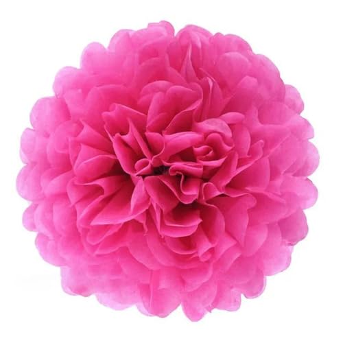 China Festival Dekorative Laterne 5 Pcs Seidenpapier Pompons Blume Girlande Hochzeit Dekoration DIY Papier Blumen Ball Geburtstag Party Dekoration(Pink,10 inches 25cm) von MEYINGOU