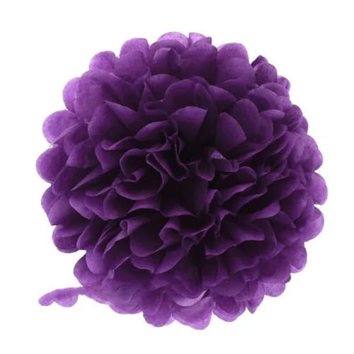 China Festival Dekorative Laterne 5 Pcs Seidenpapier Pompons Blume Girlande Hochzeit Dekoration DIY Papier Blumen Ball Geburtstag Party Dekoration(Purple,10 inches 25cm) von MEYINGOU