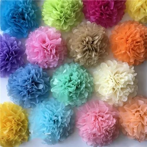 China Festival Dekorative Laterne 5 Pcs Seidenpapier Pompons Blume Girlande Hochzeit Dekoration DIY Papier Blumen Ball Geburtstag Party Dekoration(Randomly Mixed,10 inches 25cm) von MEYINGOU