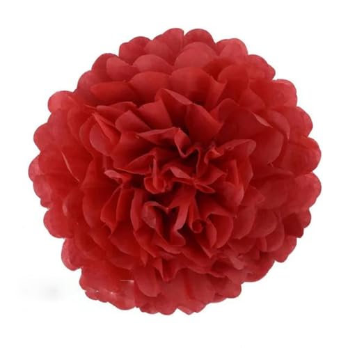 China Festival Dekorative Laterne 5 Pcs Seidenpapier Pompons Blume Girlande Hochzeit Dekoration DIY Papier Blumen Ball Geburtstag Party Dekoration(Red,10 inches 25cm) von MEYINGOU