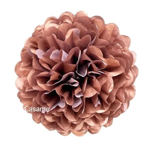 China Festival Dekorative Laterne 5 Pcs Seidenpapier Pompons Blume Girlande Hochzeit Dekoration DIY Papier Blumen Ball Geburtstag Party Dekoration(Roes gold,10 inches 25cm) von MEYINGOU