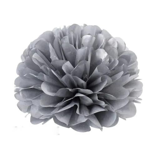 China Festival Dekorative Laterne 5 Pcs Seidenpapier Pompons Blume Girlande Hochzeit Dekoration DIY Papier Blumen Ball Geburtstag Party Dekoration(Silver,10 inches 25cm) von MEYINGOU