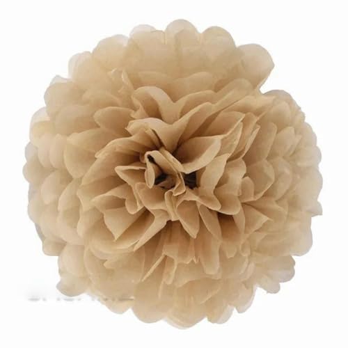 China Festival Dekorative Laterne 5 Pcs Seidenpapier Pompons Blume Girlande Hochzeit Dekoration DIY Papier Blumen Ball Geburtstag Party Dekoration(Tan,10 inches 25cm) von MEYINGOU