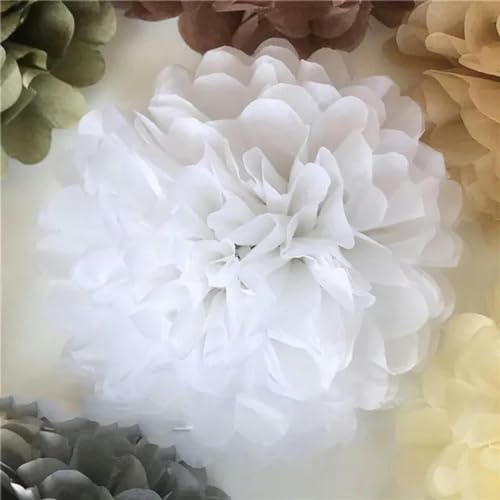 China Festival Dekorative Laterne 5 Pcs Seidenpapier Pompons Blume Girlande Hochzeit Dekoration DIY Papier Blumen Ball Geburtstag Party Dekoration(White,10 inches 25cm) von MEYINGOU