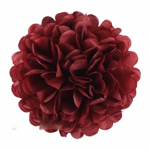 China Festival Dekorative Laterne 5 Pcs Seidenpapier Pompons Blume Girlande Hochzeit Dekoration DIY Papier Blumen Ball Geburtstag Party Dekoration(Wine red,10 inches 25cm) von MEYINGOU