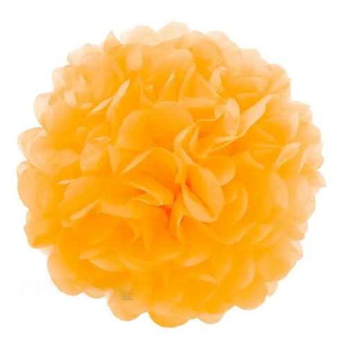 China Festival Dekorative Laterne 5 Pcs Seidenpapier Pompons Blume Girlande Hochzeit Dekoration DIY Papier Blumen Ball Geburtstag Party Dekoration(Yellow,10 inches 25cm) von MEYINGOU