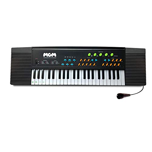 WS – Synthesizer – 37 Tasten – Initiation – 610609 – 63 cm – Schwarz – Ideal für Anfänger – Musik – Instrument – ​​IZZY – Klavier – Amateurmusiker – USB-Kabel im Lieferumfang enthalten – Mikrofon von MGM