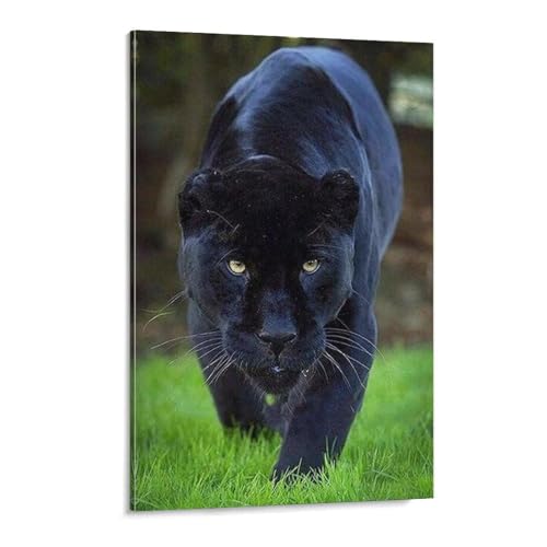 Stufe Black Panther，Puzzle 1000 Teile,Intellektuelle Entwicklung Pädagogisches Nach Hause Interessante Dekompression Brain Challenge Puzzle Für Jugendliche Kinder（38x26cm）-144 von MHYBY