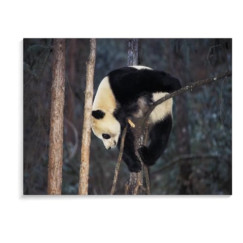 1500-Teiliges Puzzle Für Erwachsene, Panda, Geistiges Lernspielzeug, Ideal Zum Entspannen, Meditationsgeschenk, Puzzlebrett, 1500 Teile (87 × 57 cm) von MIDUNU