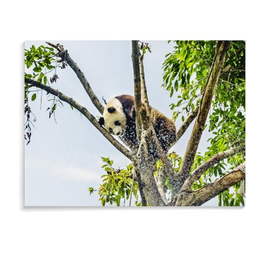 1500-Teiliges Puzzle Für Erwachsene, Panda, Geistiges Lernspielzeug, Ideal Zum Entspannen, Meditationsgeschenk, Puzzlebrett, 1500 Teile (87 × 57 cm) von MIDUNU