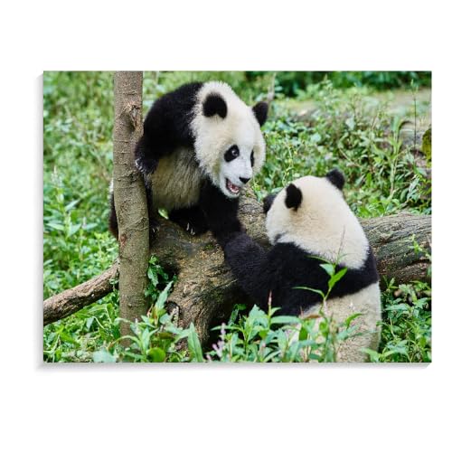 1500-Teiliges Puzzle Für Erwachsene, Panda-Familienbildung, Lernspielzeug, Holzpuzzlespiele, Schwierige Puzzles Für Erwachsene (87 × 57 cm) von MIDUNU