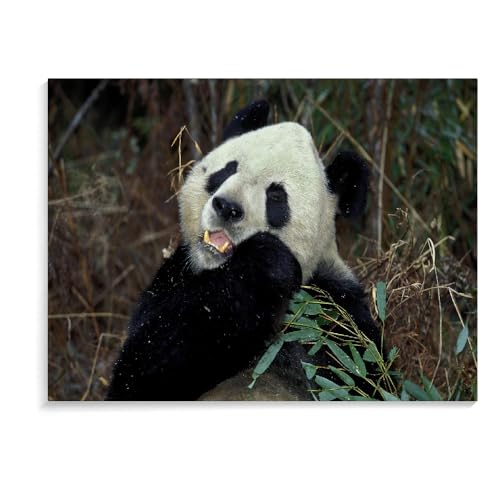 1500-Teiliges Puzzle Für Erwachsene, Panda-Puzzlespiel, Interessantes Spielzeug, Personalisiertes Geschenk Für Kinder, 1500-Teiliges Puzzle Für Kinder Und Erwachsene (87 × 57 cm) von MIDUNU