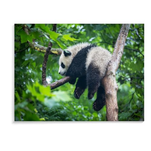 1500-Teiliges Puzzle Für Erwachsene, Panda-Puzzlespiel, Interessantes Spielzeug, Personalisiertes Geschenk Für Kinder, 1500-Teiliges Puzzle Für Kinder Und Erwachsene (87 × 57 cm) von MIDUNU