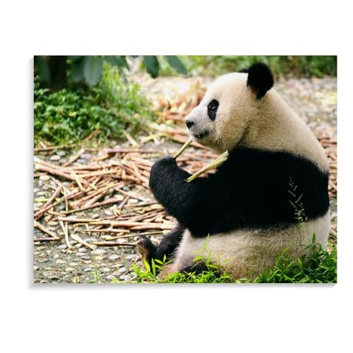 1500-Teiliges Puzzle Für Erwachsene, Panda-Puzzlespiel, Interessantes Spielzeug, Personalisiertes Geschenk Für Kinder, 1500-Teiliges Puzzle Für Kinder Und Erwachsene (87 × 57 cm) von MIDUNU