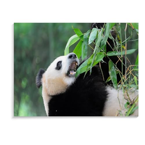 1500-Teiliges Puzzle Für Erwachsene, Panda-Puzzlespiel, Interessantes Spielzeug, Personalisiertes Geschenk Für Kinder, 1500-Teiliges Puzzle Für Kinder Und Erwachsene (87 × 57 cm) von MIDUNU