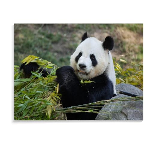 Puzzle 1000 Teile Für Erwachsene Und Kinder, Panda, Handgefertigte Puzzles, Puzzlespiel, Spielzeug, Personalisierte Geschenkpuzzles, Weihnachtspuzzles (75 × 50 cm) von MIDUNU