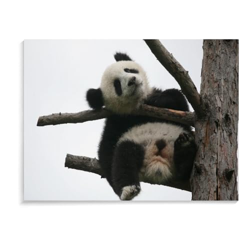 Puzzle 1000 Teile Für Erwachsene Und Kinder, Panda, Handgefertigte Puzzles, Puzzlespiel, Spielzeug, Personalisierte Geschenkpuzzles, Weihnachtspuzzles (75 × 50 cm) von MIDUNU