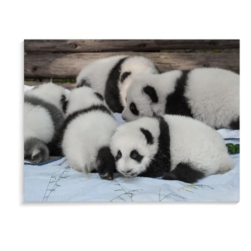 Puzzle 1000 Teile Für Erwachsene Und Kinder, Panda, Handgefertigte Puzzles, Puzzlespiel, Spielzeug, Personalisierte Geschenkpuzzles, Weihnachtspuzzles (75 × 50 cm) von MIDUNU