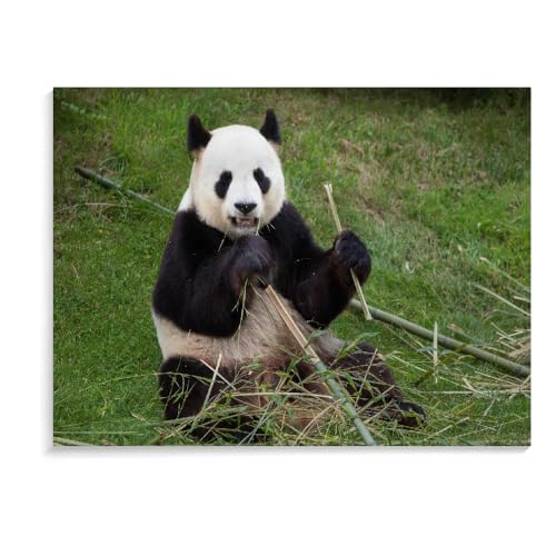 Puzzle Für Erwachsene 1000 Teile Panda Lern-Cartoon-Puzzlespiel Kinderspielzeug Personalisiertes Geschenk Puzzle 1000 Teile Für Erwachsene Kinder (75 × 50 cm) von MIDUNU