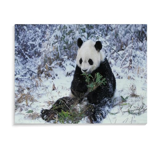 Puzzle Für Erwachsene 1000 Teile Panda-Weihnachtspuzzle Für Erwachsene Lernpuzzlespiel Kinderspielzeug Personalisierte Spiele Puzzlegeschenk (75 × 50 cm) von MIDUNU