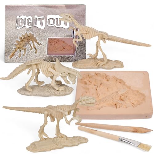 MIJOMA Dinosaurier Ausgrabungsset Dig it Out – Entdecke das Skelett | Mit Holz-Pinsel & Kratztool | Für Junge Forscher & Entdecker | Spannendes Lernspielzeug & Abenteuer in Einem | 18x11.5x3.5cm von MIJOMA