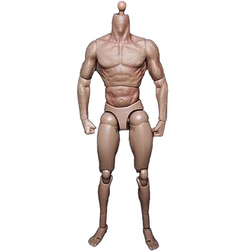 MILLTOR Schmale Schulter männliche Körperpuppe Actionfigur für TTM18 TTM19 Hot Toys & Human Body Sketch Model von MILLTOR