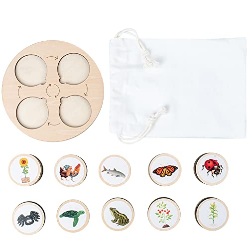 MINHADISI Montessori Holzspielzeug Lebenszyklus Brett, Pädagogisches Life Cycle Tablett Spielzeug, Insekt Tier Wachstumszyklus Kit Montessori Spielzeug Lernwerkzeuge für Kinder 3-8 Jahre alt (B) von MINHADISI