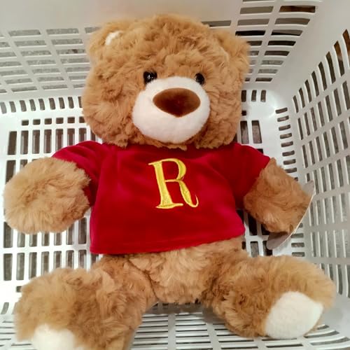 MINISO Harry Potter Bär Kuscheltier 26cm, Teddybär Plüschtier Klein Braunbär Süße, Teddy Bär Kuscheltiere mit Rot Shirt Stofftier Spielzeug, Harry Potter Teddybär Plush für Mädchen Jungen von MINISO