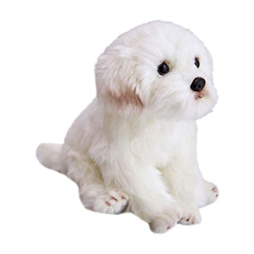 MISUVRSE Little Welpe Plüschspielzeug Kinder Geburtstagsgeschenk Süße Puppen Tierheimdekoration Cartoon Geschenke Für Kinder Katze Plüsch MISUVRSE Little Welpe Plüschspielzeug Kinder Geburtstagsgeschenk Süße Puppen Tierheimdekoration Cartoon Geschenke Für Kinder Katze Plüsch von MISUVRSE