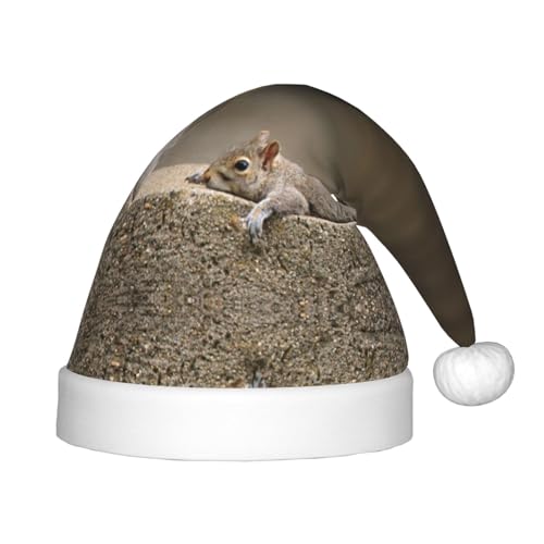 MLTRFGJ Eichhörnchen einfach liegend bedruckte Kinder-Weihnachtsmütze, geeignet für Urlaub und Party-Dekoration MLTRFGJ Eichhörnchen einfach liegend bedruckte Kinder-Weihnachtsmütze, geeignet für Urlaub und Party-Dekoration von MLTRFGJ