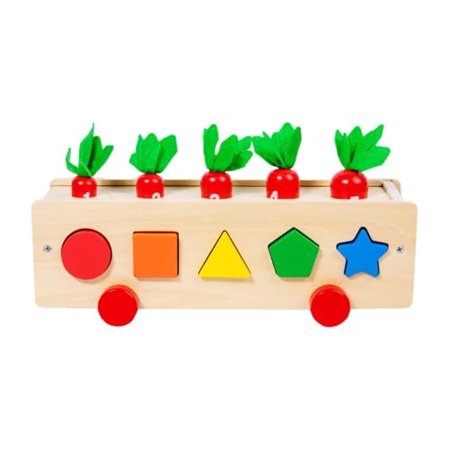 MLqkpwy Formen-Lernspielzeug für Kleinkinder, Farbsortierspielzeug - -Spielzeug-Form-Matching-Spiel,Lern- und Lernspielzeug, Formsortierspielzeug für Kinder von 1–3 Jahren von MLqkpwy