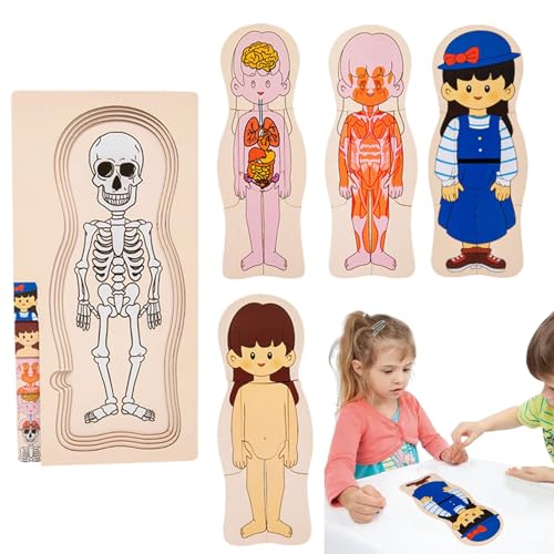 MLqkpwy Holzpuzzle „Menschlicher Körper“, Puzzle „Menschlicher Körper“ für Kinder - Lern-Anatomie-Puzzle-Skelett-Spielzeug,Interaktives Lernen zum Erkennen von Körperteilen. Lernrätsel zur von MLqkpwy
