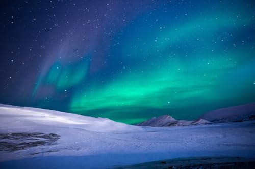 Aurora im Schnee, 1.000-teiliges Puzzle für Erwachsene, 1.000-teiliges Naturlandschaftspuzzle, 1.000-teiliges Puzzle mit exquisiten Illustrationen von MMACPUZZLE