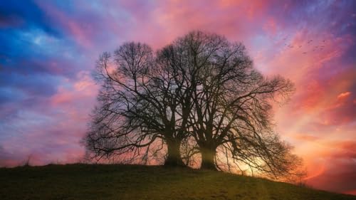 Baum unter dem bunten Himmel – 1500-teiliges Holzpuzzle – perfekt zum Entspannen und Stressabbau von MMACPUZZLE