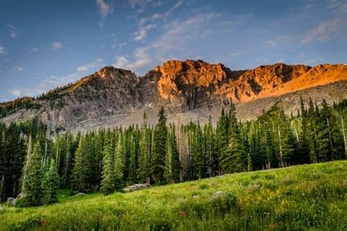 Berge und Wälder bei Sonnenuntergang, 12000-teiliges Puzzle, großes Puzzle zum Stressabbau, Puzzle zur Entwicklung des gesamten Gehirns, lehrreiches und unterhaltsames Puzzle, 12000-teiliges von MMACPUZZLE