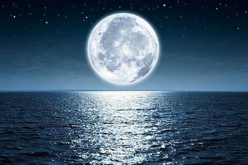 Bright Moon on The Sea, 15000-teiliges Puzzle, wunderschön illustriertes Puzzle, Kunstwerk-Puzzle, lustiges Puzzle, kreativer Urlaub, 15000-teiliges Moon on The Sea-Puzzle von MMACPUZZLE