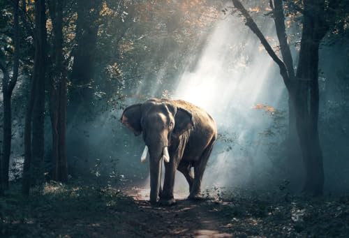 Elefant im Wald – 5000-teiliges Holzpuzzle – Spiele für Erwachsene, Puzzles, Puzzle-Geschenke für Frauen von MMACPUZZLE