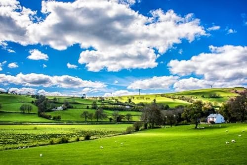 Friedliche ländliche Landschaft, 1000-teiliges Puzzleset, wunderschön illustriertes Puzzle, Heimpuzzle, Heimdekoration, 1000-teiliges Naturlandschaftspuzzle von MMACPUZZLE