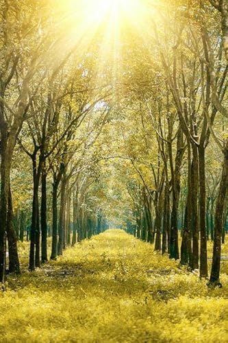 Goldener Wald – 1000-teiliges Holzpuzzle – Familienpuzzle für Erwachsene von MMACPUZZLE