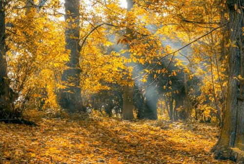 Herbstwaldblätter – 4000-teiliges Holzpuzzle – geeignet für Erwachsene ab 14 Jahren von MMACPUZZLE